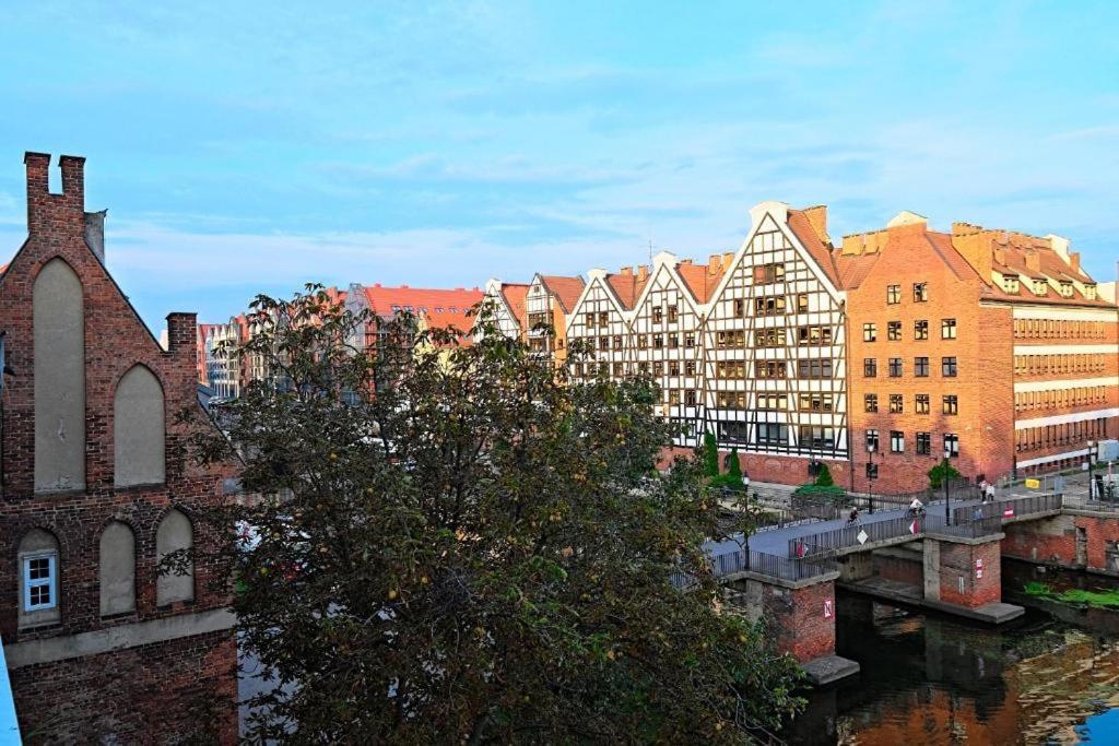 Urbannest I Kotwicznikow 21